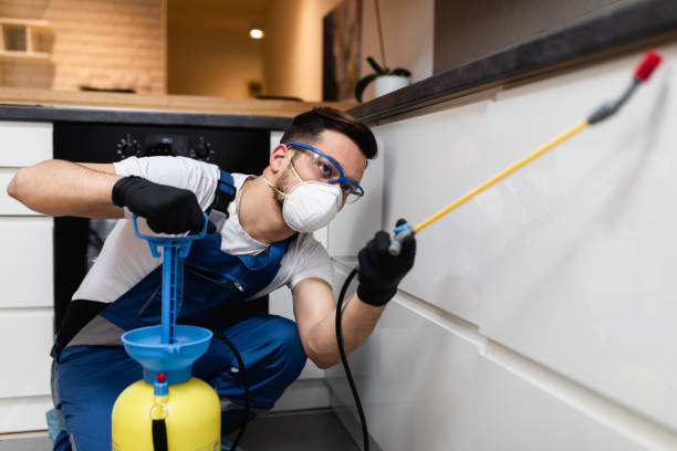 Best Insect Control  in St Clair Shores, MI