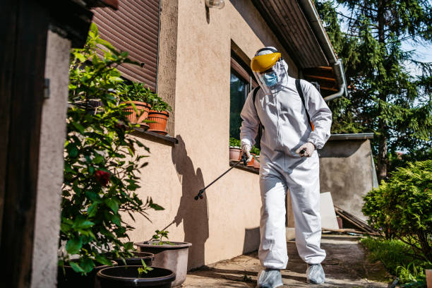 Best Affordable Pest Control Services  in St Clair Shores, MI
