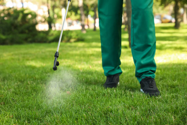 Wildlife Control Services in St Clair Shores, MI