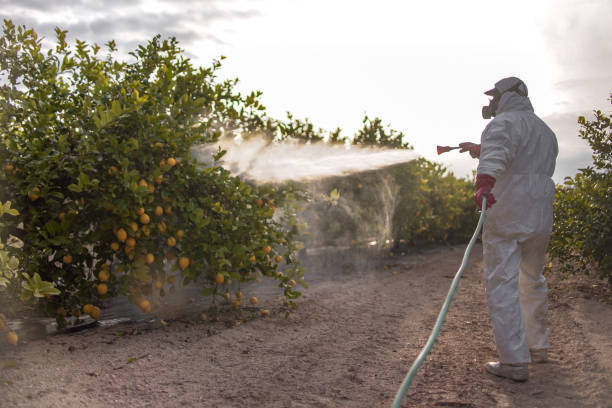 Best Bed Bug Extermination  in St Clair Shores, MI