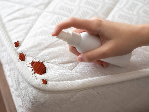 Best Mosquito Control Services  in St Clair Shores, MI