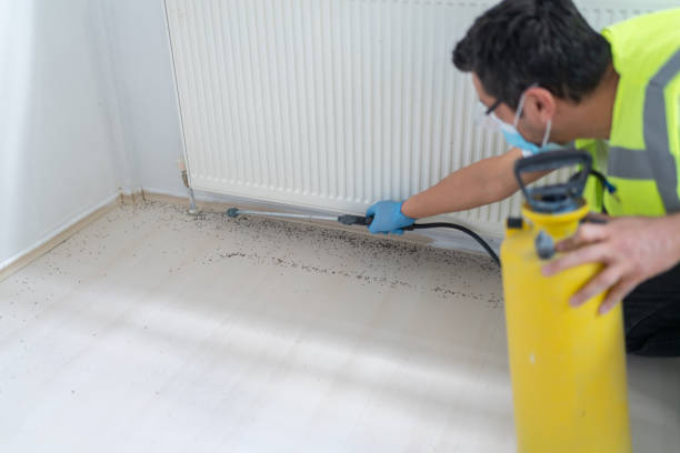 Reliable St Clair Shores, MI Pest Control Solutions