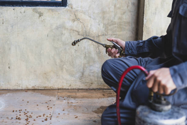 Best Pest Removal Services  in St Clair Shores, MI