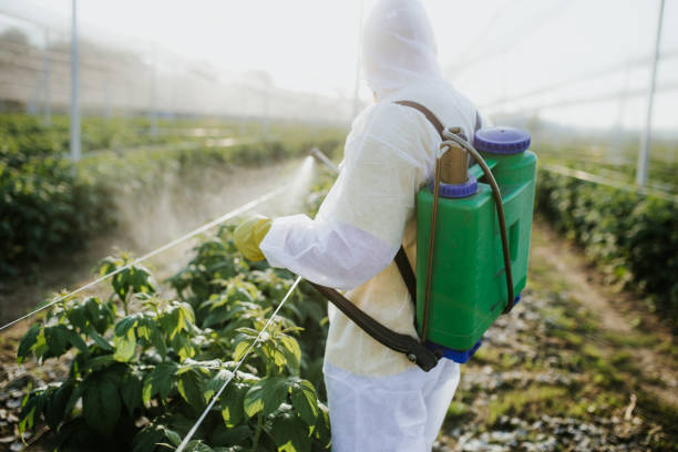 Best Best Pest Control Companies  in St Clair Shores, MI
